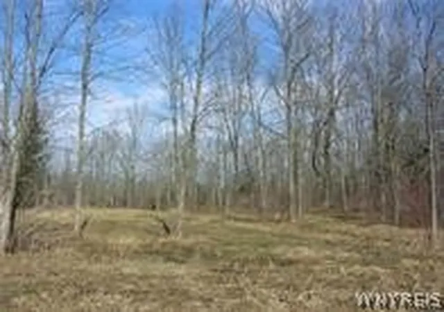 1st image of 4455 S Ayers Rd, Akron, NY 14001 | MLS# B1695130