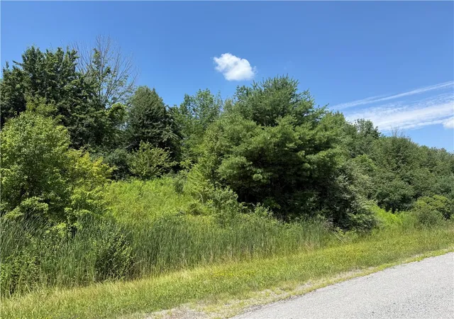 2nd image of 0 Mcnair Rd, Dansville, NY 14437 | MLS# R1694569