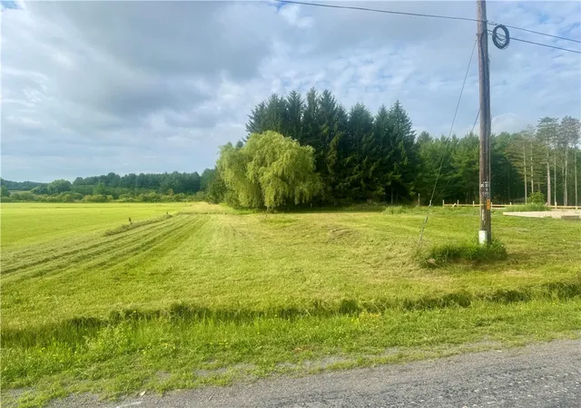 Homes for sale in Reading, NY | 2054 Beach Rd, Reading, NY 14878 | MLS# R1693869