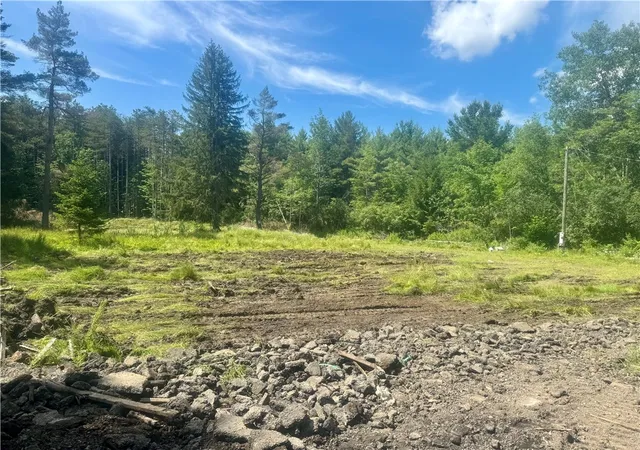 Homes for sale in Reading, NY | 2054 Beach Rd, Reading, NY 14878 | MLS# R1693869
