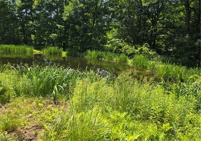 Photo 5 of Single family home for sale at 3074 State Rd, Andes, NY 13731 | MLS# R1691822 | Listing updated on 2026-07-25