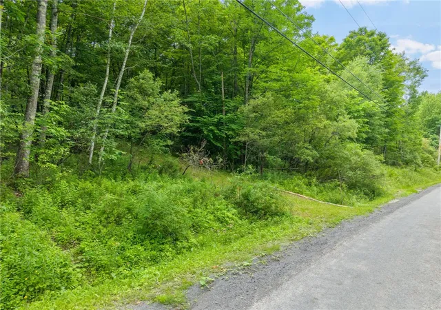 1st image of 441 Dodge Lodge Rd, Richmondville, NY 12149 | MLS# R1694003