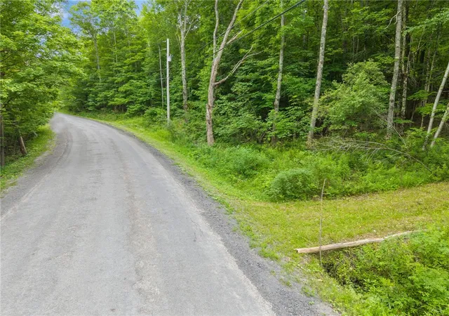 2nd image of 441 Dodge Lodge Rd, Richmondville, NY 12149 | MLS# R1694003