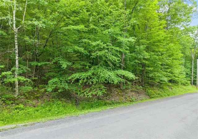 3rd image of 441 Dodge Lodge Rd, Richmondville, NY 12149 | MLS# R1694003