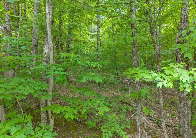 4th image of 441 Dodge Lodge Rd, Richmondville, NY 12149 | MLS# R1694003