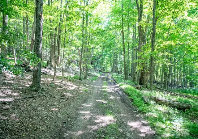 Photo 11 of Sale Pending at Lot 43 Tower Mountain Rd, Stamford, NY 12167 | MLS# R1694449 | Listing updated on 2026-07-28