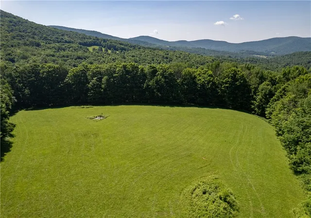 Photo 1 of Sale Pending at Lot 43 Tower Mountain Rd, Stamford, NY 12167 | MLS# R1694449 | Listing updated on 2026-07-28