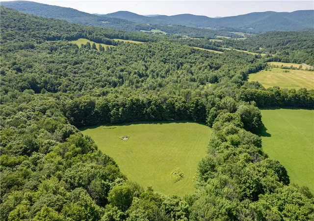 Photo 3 of Sale Pending at Lot 43 Tower Mountain Rd, Stamford, NY 12167 | MLS# R1694449 | Listing updated on 2026-07-28