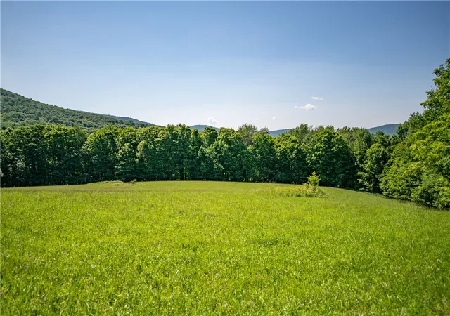 Photo 4 of Sale Pending at Lot 43 Tower Mountain Rd, Stamford, NY 12167 | MLS# R1694449 | Listing updated on 2026-07-28