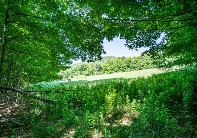 Photo 5 of Sale Pending at Lot 43 Tower Mountain Rd, Stamford, NY 12167 | MLS# R1694449 | Listing updated on 2026-07-28