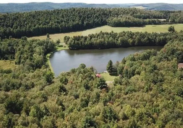 49th image of 179 Sparrowhawk Lake Rd, Maryland, NY 12155 | MLS# R1694673