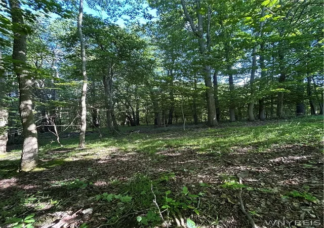 Photo 4 of Sale Pending at 6810 Rt 39, Gainesville, NY 14066 | MLS# B1695614 | Listing updated on 2026-07-13