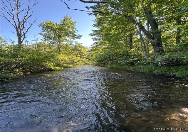 Photo 5 of Sale Pending at 6810 Rt 39, Gainesville, NY 14066 | MLS# B1695614 | Listing updated on 2026-07-13