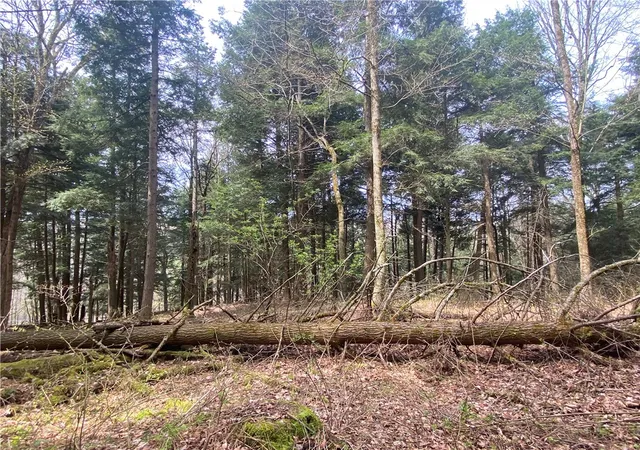 1st image of Lot A Piermott Ln, Hartwick, NY 13348 | MLS# R1684550