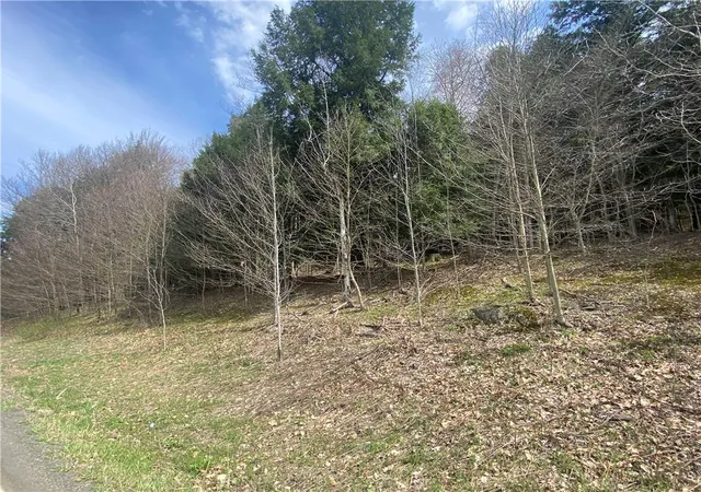 2nd image of Lot A Piermott Ln, Hartwick, NY 13348 | MLS# R1684550