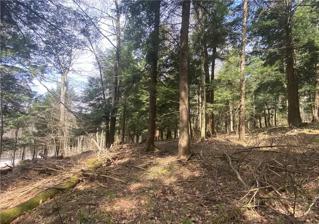 3rd image of Lot A Piermott Ln, Hartwick, NY 13348 | MLS# R1684550