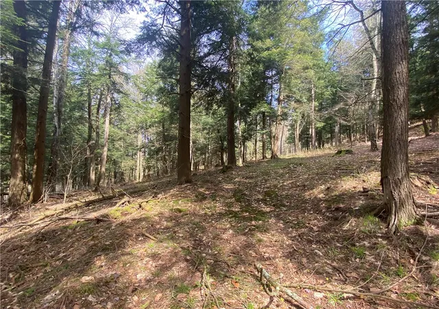 4th image of Lot A Piermott Ln, Hartwick, NY 13348 | MLS# R1684550