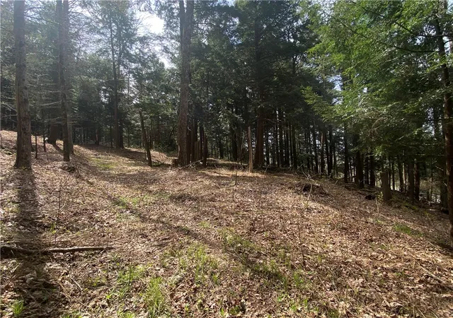 5th image of Lot A Piermott Ln, Hartwick, NY 13348 | MLS# R1684550