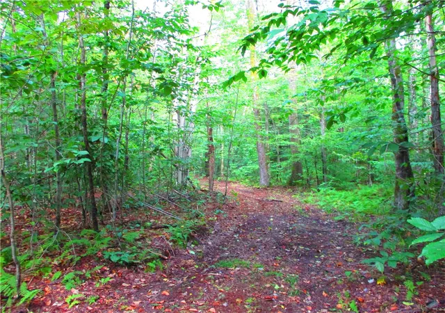 5th image of 0 Campbell Hill Rd, Middlefield, NY 13326 | MLS# R1684549