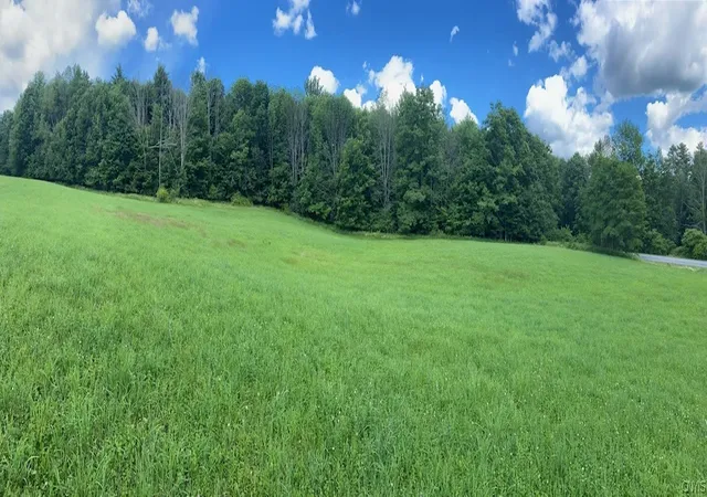 14th image of Holmesville Rd, New Berlin, NY 13843 | MLS# S1695700