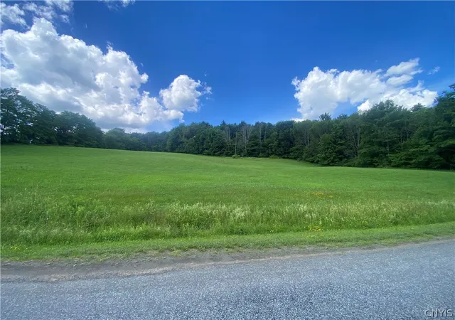 1st image of Holmesville Rd, New Berlin, NY 13843 | MLS# S1695700