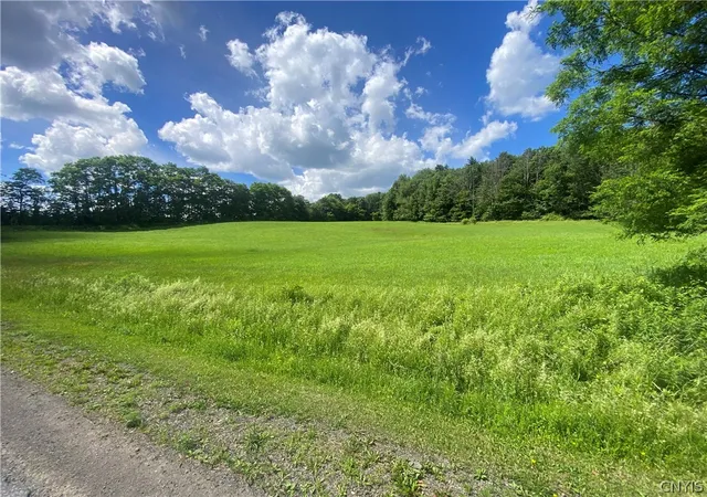 Photo 3 of Sale Pending at Holmesville Rd, South New Berlin, NY 13843 | MLS# S1695700 | Listing updated on 2026-07-26