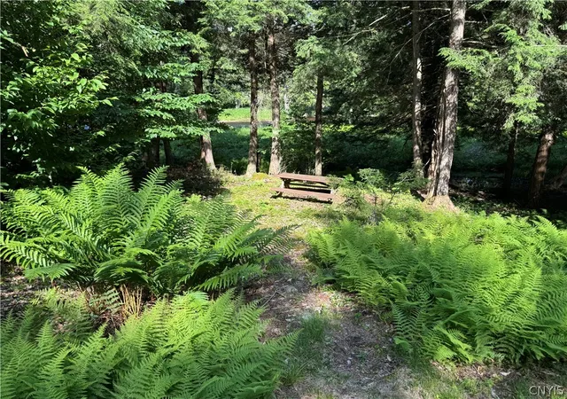 Photo 46 of Land for sale at Rt 28, Forestport, NY 13338 | MLS# S1692047 | Listing updated on 2026-07-31