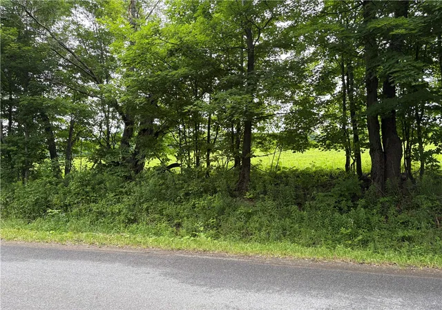 Homes for sale in Kortright, NY | 2228 Swantak Rd, Kortright, NY 13842 | MLS# R1694733