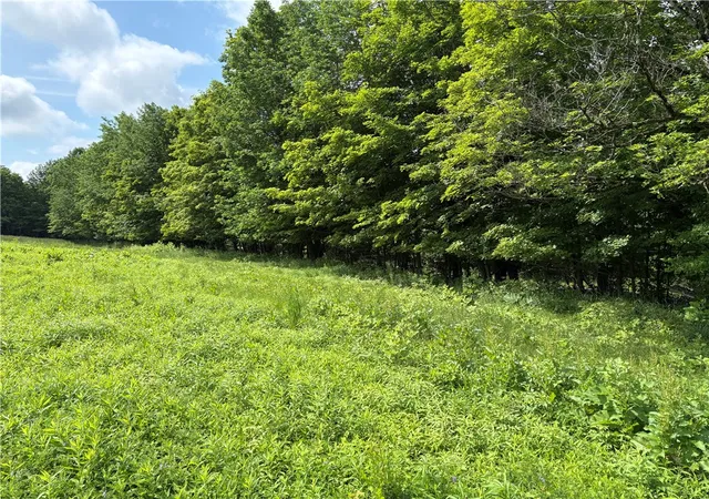 Homes for sale in Kortright, NY | 2228 Swantak Rd, Kortright, NY 13842 | MLS# R1694733