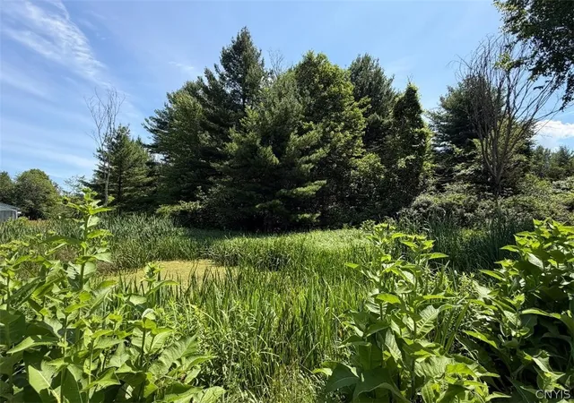 31st image of 44600 Stine Rd, Redwood, NY 13679 | MLS# S1695955