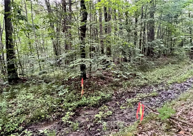 2nd image of Hawkins Rd, Maryland, NY 12116 | MLS# R1695088
