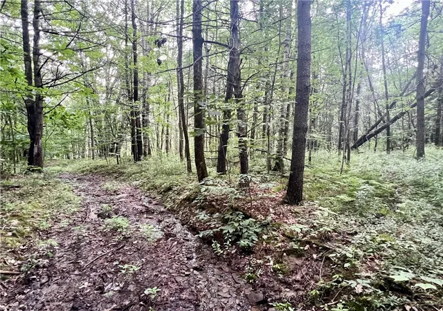 4th image of Hawkins Rd, Maryland, NY 12116 | MLS# R1695088