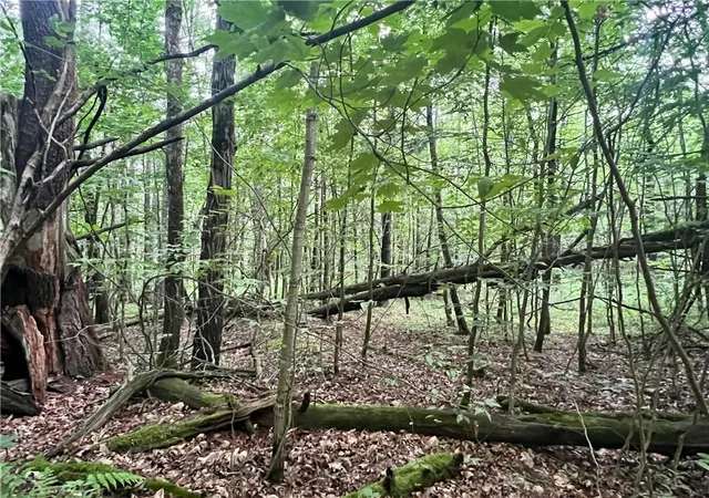 5th image of Hawkins Rd, Maryland, NY 12116 | MLS# R1695088