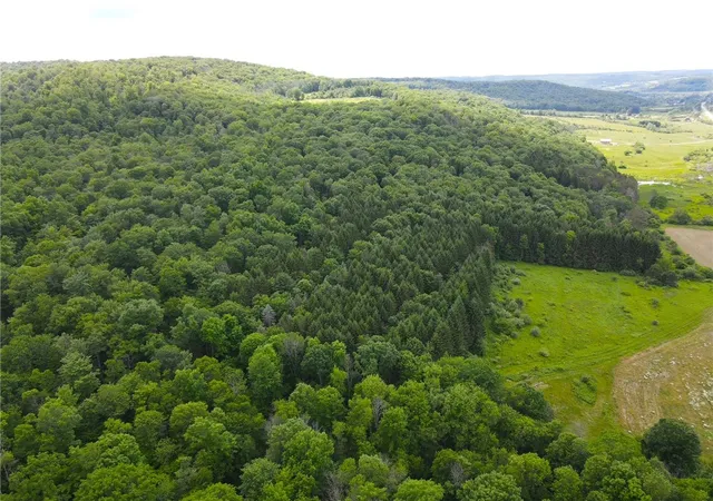 Homes for sale in Cuba, NY | Cr-20, Cuba, NY 14727 | MLS# R1696010
