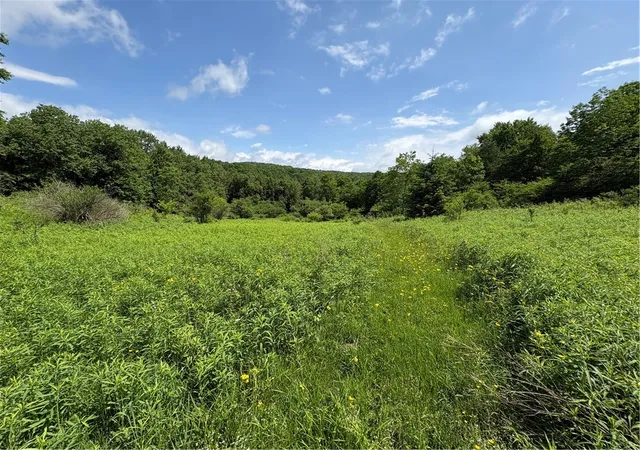 1st image of Stage Rd, South Otselic, NY 13155 | MLS# R1691475