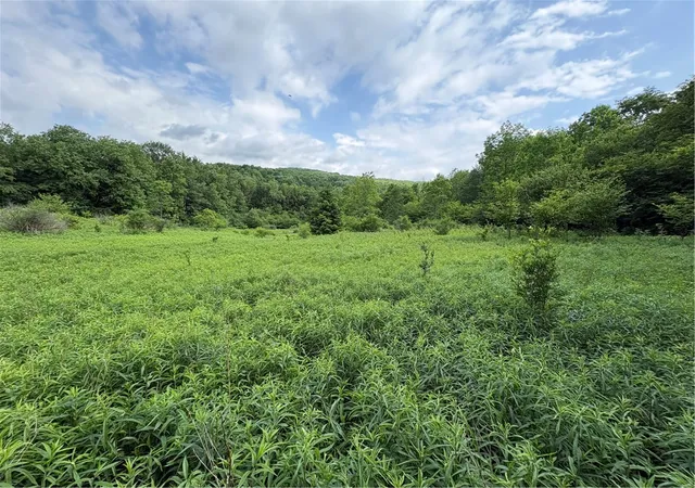 27th image of Stage Rd, South Otselic, NY 13155 | MLS# R1691475