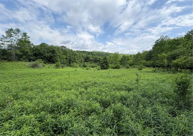 2nd image of Stage Rd, South Otselic, NY 13155 | MLS# R1691475