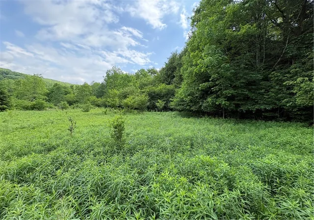 3rd image of Stage Rd, South Otselic, NY 13155 | MLS# R1691475