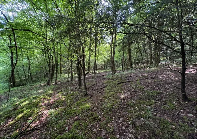 4th image of Stage Rd, South Otselic, NY 13155 | MLS# R1691475