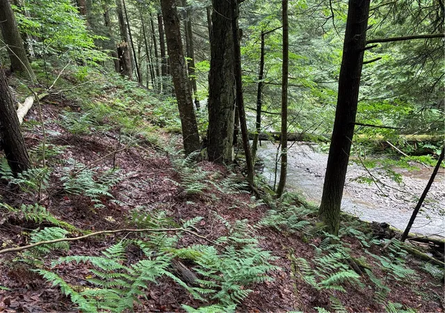5th image of Stage Rd, South Otselic, NY 13155 | MLS# R1691475