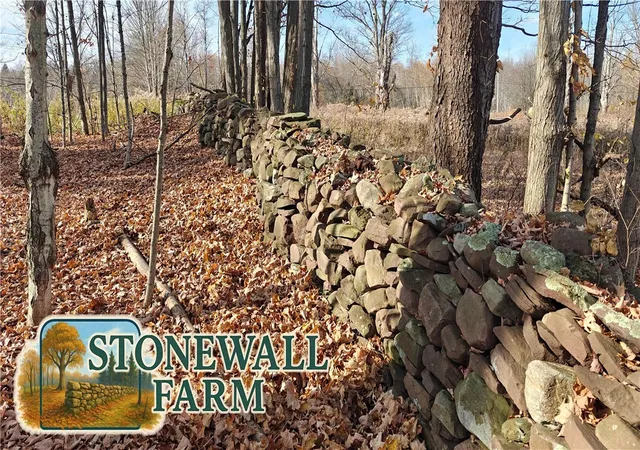 Photo 27 of Sale Pending at 199 White Rd, Parish, NY 13131 | MLS# R1696223 | Listing updated on 2026-08-03