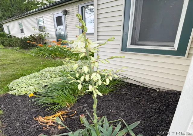 Photo 3 of Sale Pending at 5389 Keck Rd, Lockport, NY 14094 | MLS# B1695890 | Listing updated on 2026-07-14
