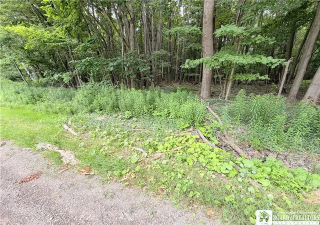 2nd image of 00 Panama Stedman Rd, North Harmony, NY 14757 | MLS# R1694360