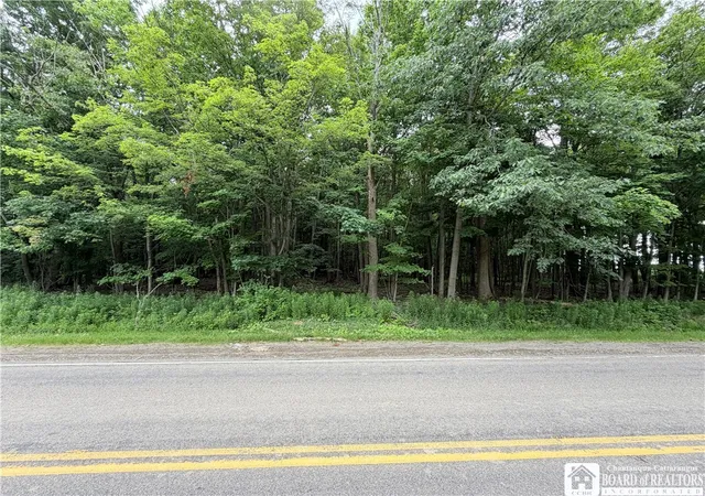 5th image of 00 Panama Stedman Rd, North Harmony, NY 14757 | MLS# R1694360