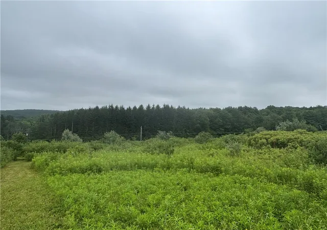 1st image of Lot 1 County Route 46, Dansville, NY 14437 | MLS# R1695377