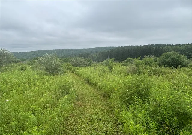 2nd image of Lot 1 County Route 46, Dansville, NY 14437 | MLS# R1695377