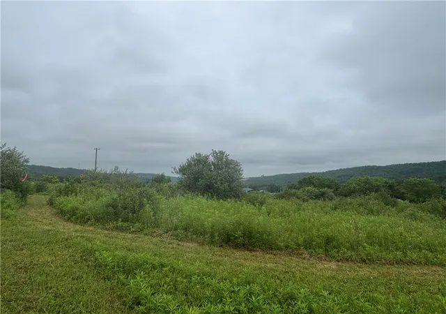 3rd image of Lot 1 County Route 46, Dansville, NY 14437 | MLS# R1695377