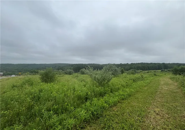 4th image of Lot 1 County Route 46, Dansville, NY 14437 | MLS# R1695377