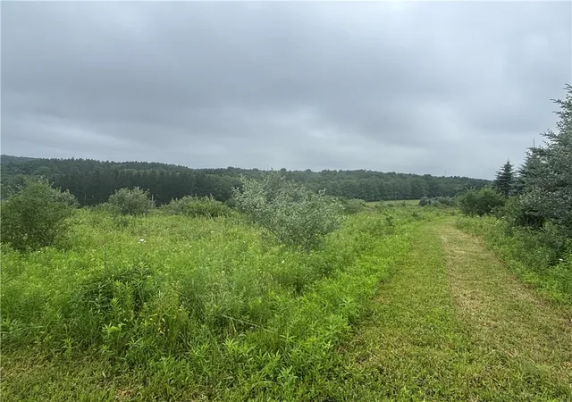 5th image of Lot 1 County Route 46, Dansville, NY 14437 | MLS# R1695377