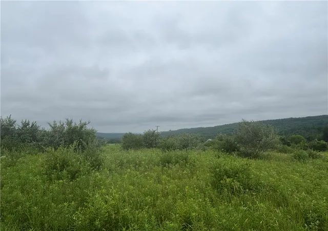 8th image of Lot 1 County Route 46, Dansville, NY 14437 | MLS# R1695377